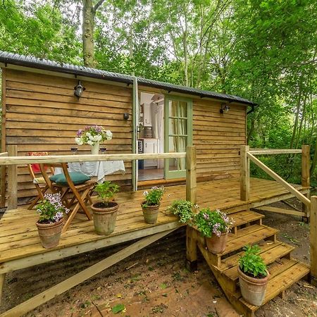 Woodland Retreat Shepherds Hut Villa Brundish Luaran gambar