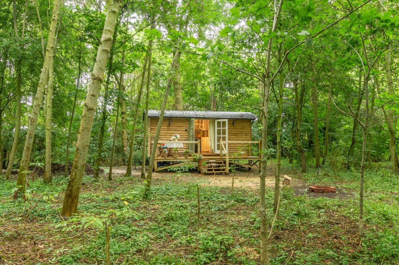 Woodland Retreat Shepherds Hut Villa Brundish Luaran gambar